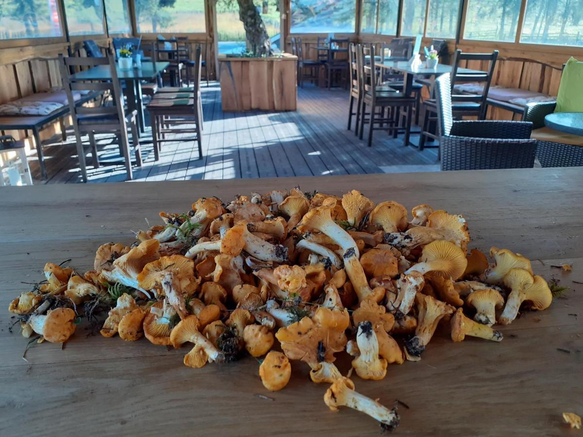 La Malu' Bistritei - Casutele Valea Stanii Hotel Luaran gambar