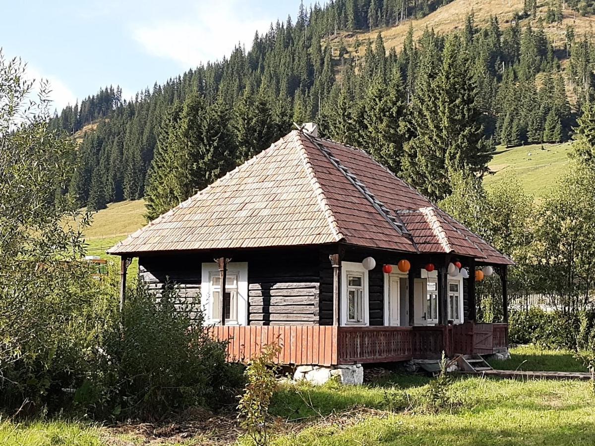 La Malu' Bistritei - Casutele Valea Stanii Hotel Luaran gambar